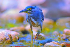 2026年世界杯入围名单，全球足坛的终极对决26世界杯入围名单