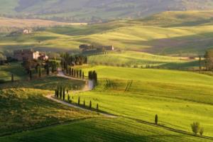 2026年世界杯入围名单，全球足坛的终极对决26世界杯入围名单